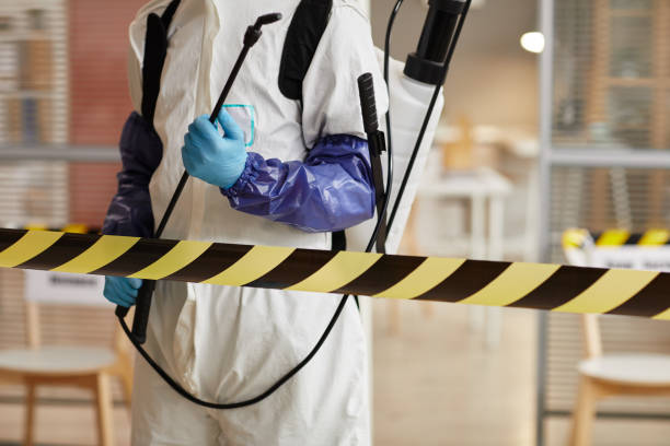 Professional Hoarding Cleanup technician working in Davenport, FL